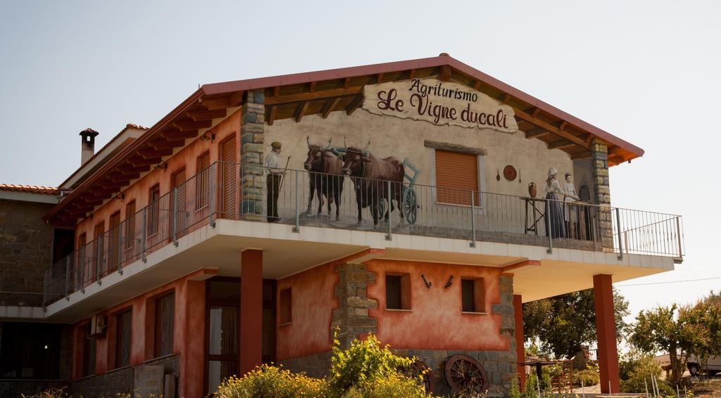Agriturismo Le Vigne Ducali Màndas Dış mekan fotoğraf